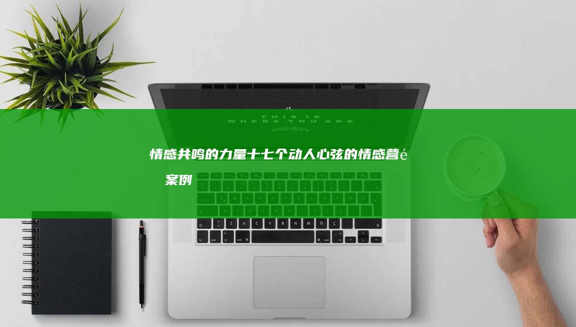 情感共鸣的力量：十七个动人心弦的情感营销案例解析